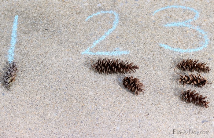 Outdoor number activities for kids - pine cone counting