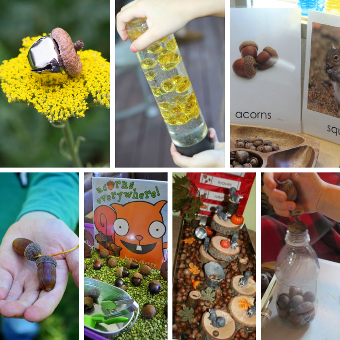 square collage of seven different acorn science and sensory activities for preschool