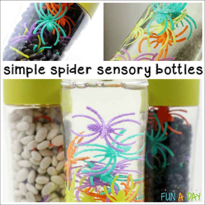 spider sensory bottle ideas
