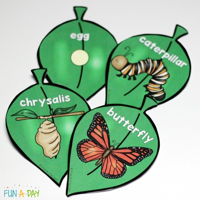 Free printable cards for a butterfly life cycle craft