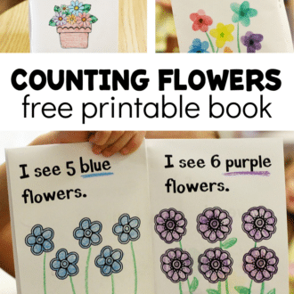 images of flower emergent reader with text that reads counting flowers free printable book