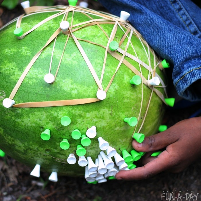 Fun hands on math this summer with a watermelon geoboard