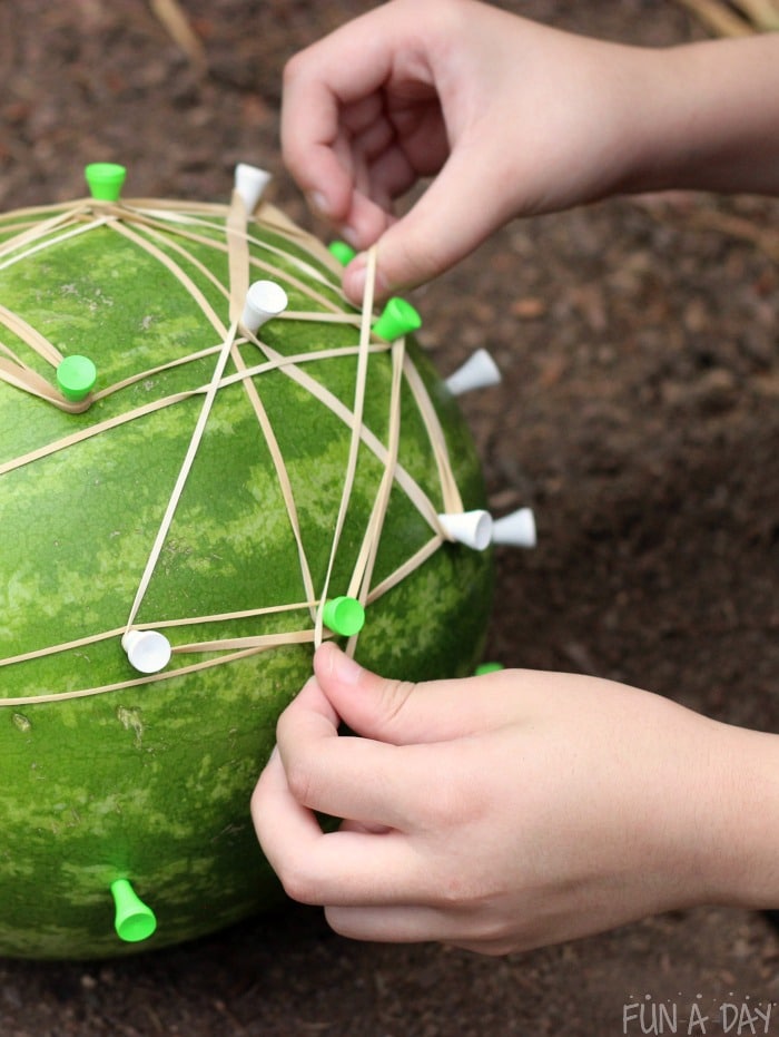 Hands on math with a watermelon geoboard
