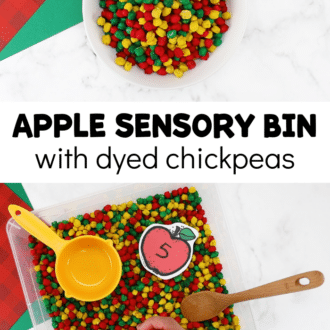 images of dyed chickpeas in bowl and bin with measuring cup, wooden spoon, and hand with tweezers with text that reads apple sensory bin with dyed chickpeas