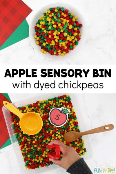 images of dyed chickpeas in bowl and bin with measuring cup, wooden spoon, and hand with tweezers with text that reads apple sensory bin with dyed chickpeas