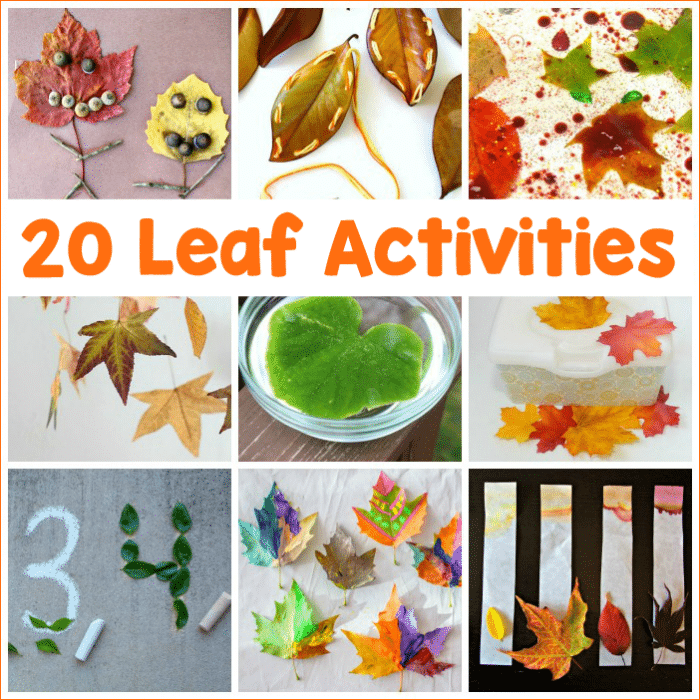 20 Preschool Leaf Activities the Kids Will Love
