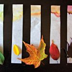 Preschool leaf activities - Leaf chromatography