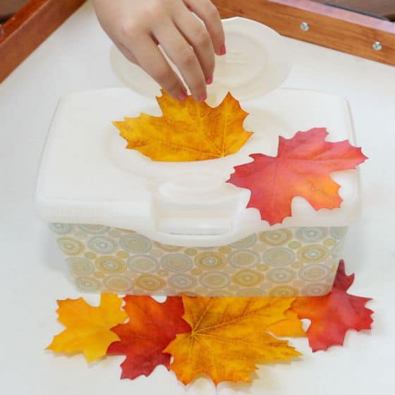 Preschool leaf activities - fall leaf busy box