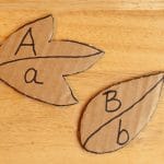 Preschool leaf activities - number and letter puzzles