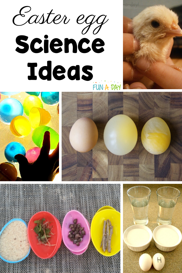 five preschool science experiments using eggs and the text easter egg science ideas