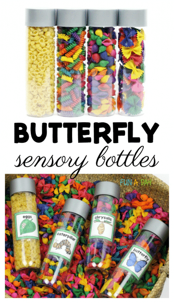 Butterfly life cycle sensory bottles for preschool and kindergarten