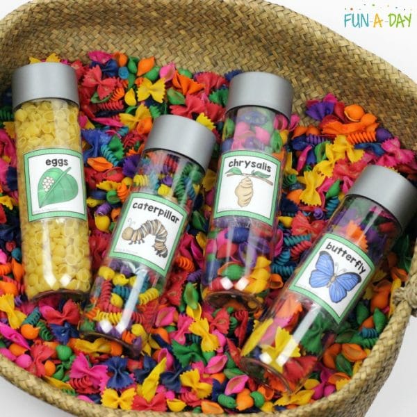 Butterfly-themed sensory bottles for preschool and kindergarten
