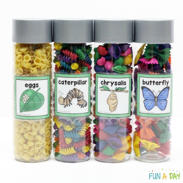 Labeled butterfly life cycle sensory bottles for preschool