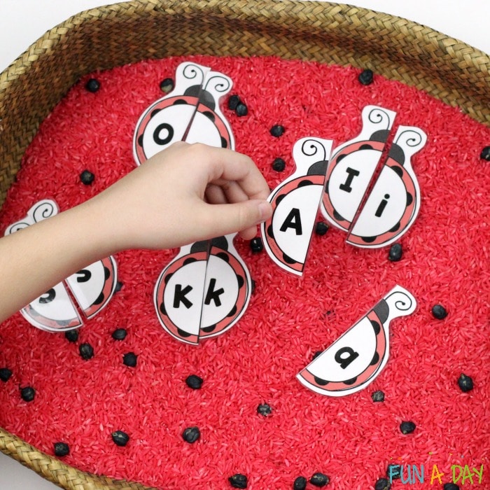 Matching uppercase and lowercase printable ladybug letters