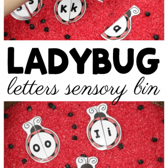 Use printable ladybug letter puzzles in a simple ladybug sensory invitation