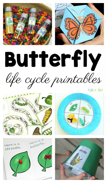 life cycle of a butterfly printables for preschool and kindergarten