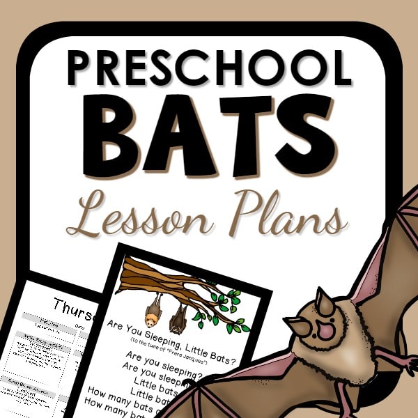 preschool bats lesson plans cover