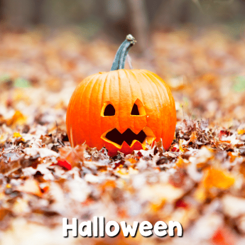 Picture of a jack-o-lantern on fall leaves with text that reads Halloween