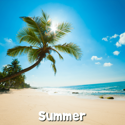 Picture of a beach and palm tree with text that reads Summer