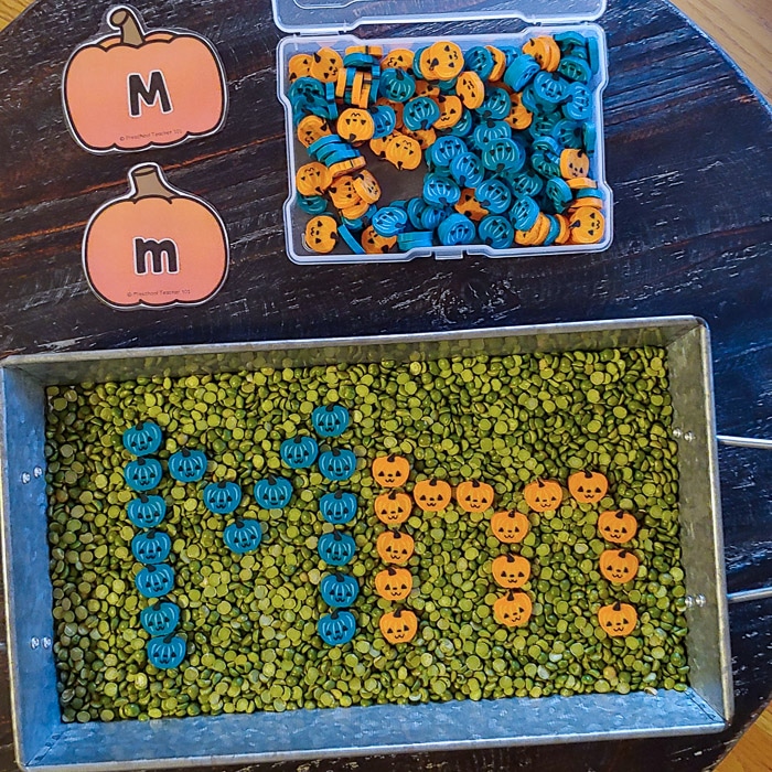 split pea sensory tray with small jack-o-lantern erasers made into the shape of Mm to mimic pumpkin letter cards