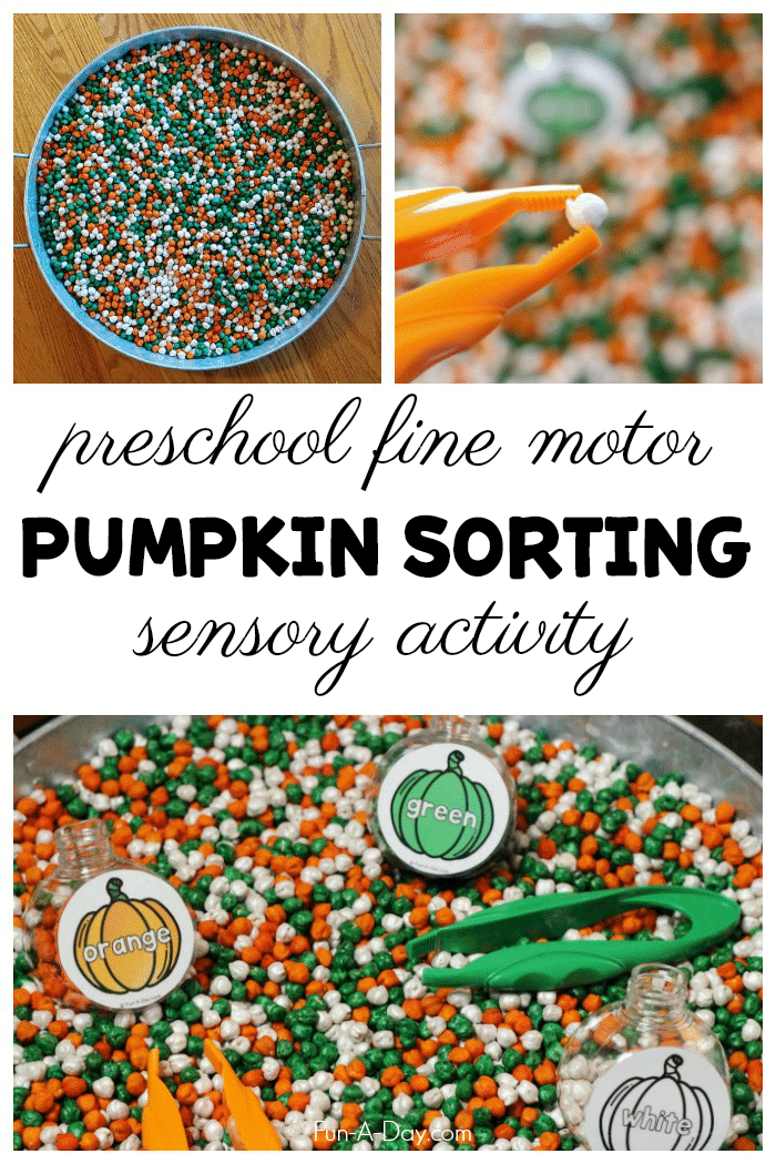 collage of dyed chickpeas and pumpkin printables with text that reads preschool fine motor pumpkin sorting sensory activity