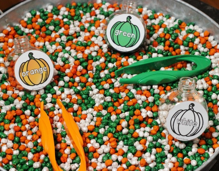 tray with dyed chickpeas, child tweezers, and three round plastic bottles with pumpkin sorting cards attached