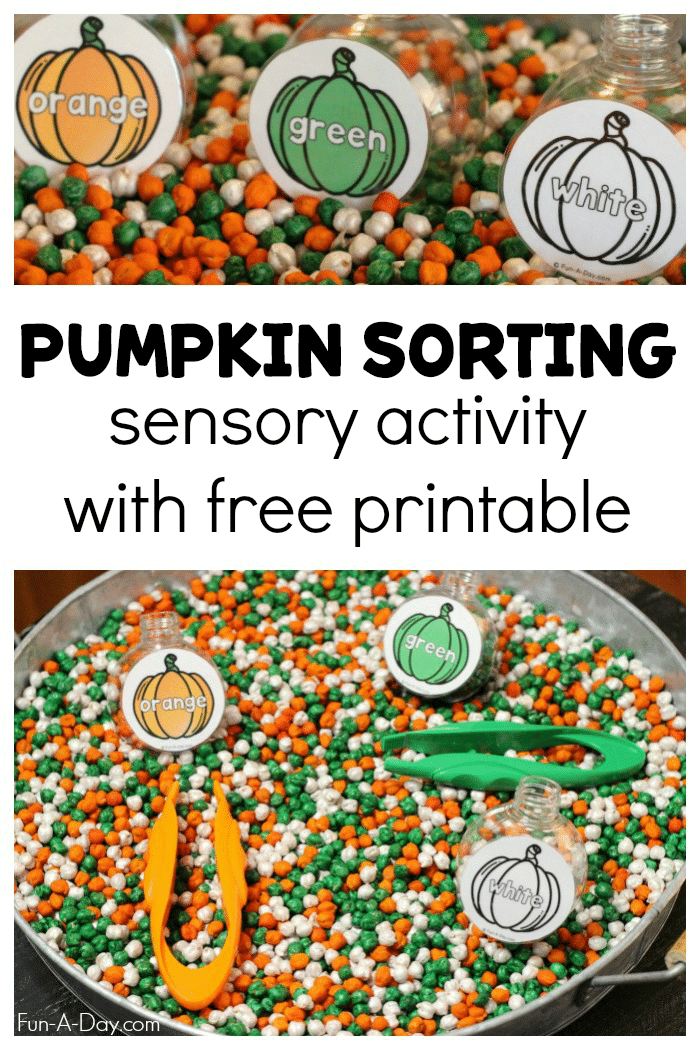 pumpkin sensory bin collage with text that reads pumpkin sorting sensory activity with free printable