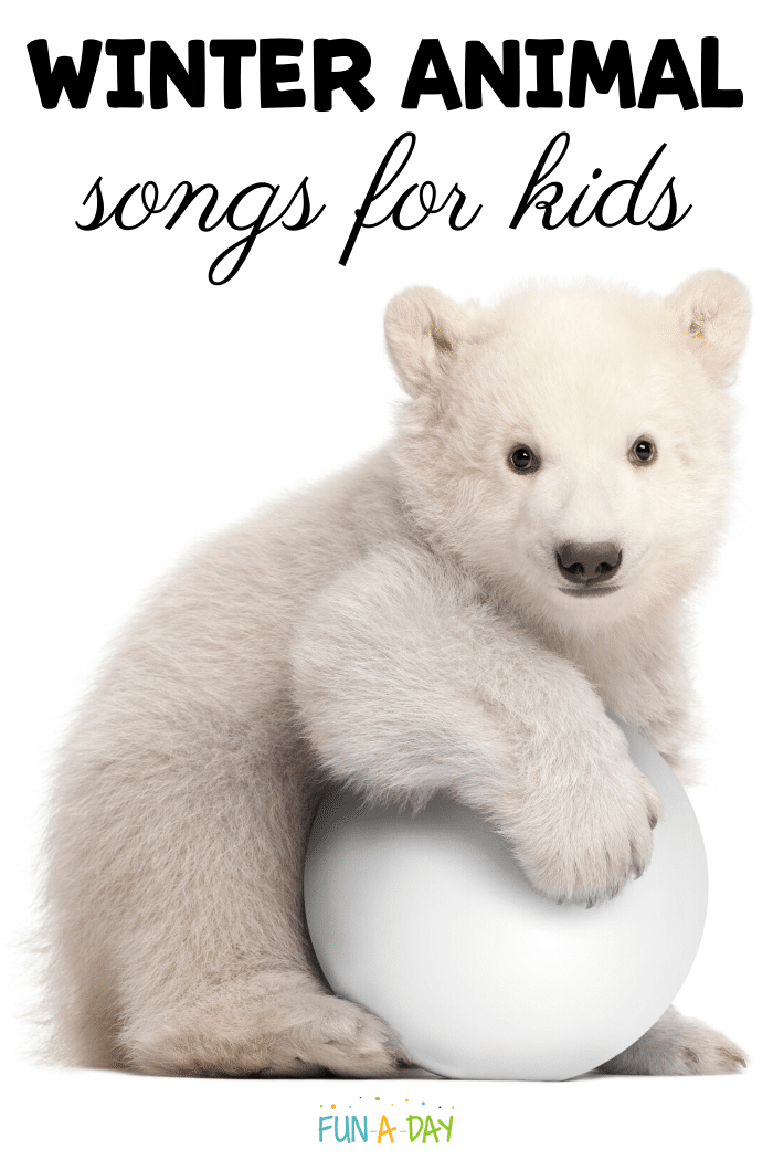 baby polar bear on white background with text that reads winter animal songs for kids