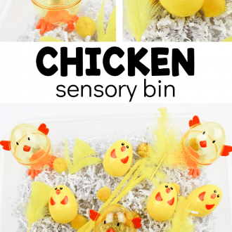 collage of chick sensory play with text that reads chicken sensory bin