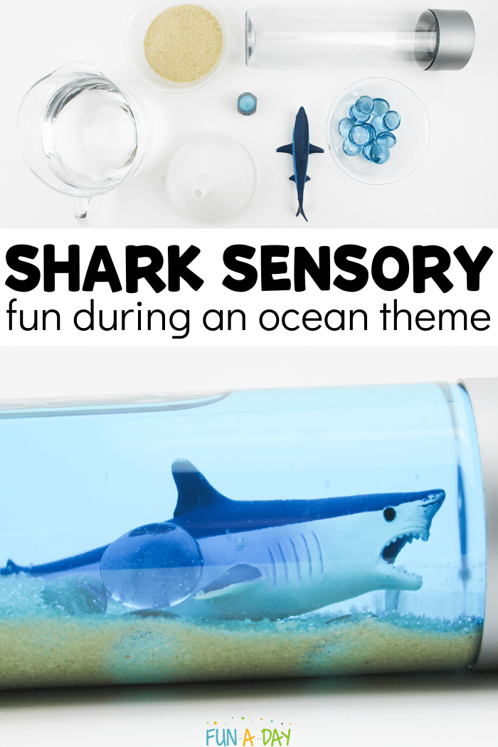 materials to make a shark sensory bottle and finished bottle with text that reads shark sensory fun during an ocean theme