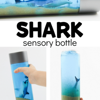 images of ocean discovery bottles with text that reads shark sensory bottle