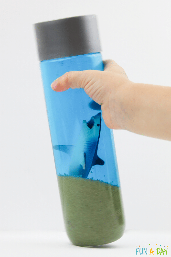 child's hand holding a shark sensory bottle