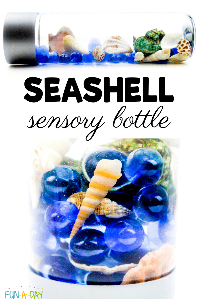 images of ocean sensory bottle with text that reads seashell sensory bottle