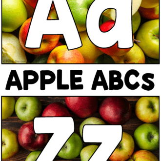 apple alphabet cards with real apple images and text that reads apple abcs