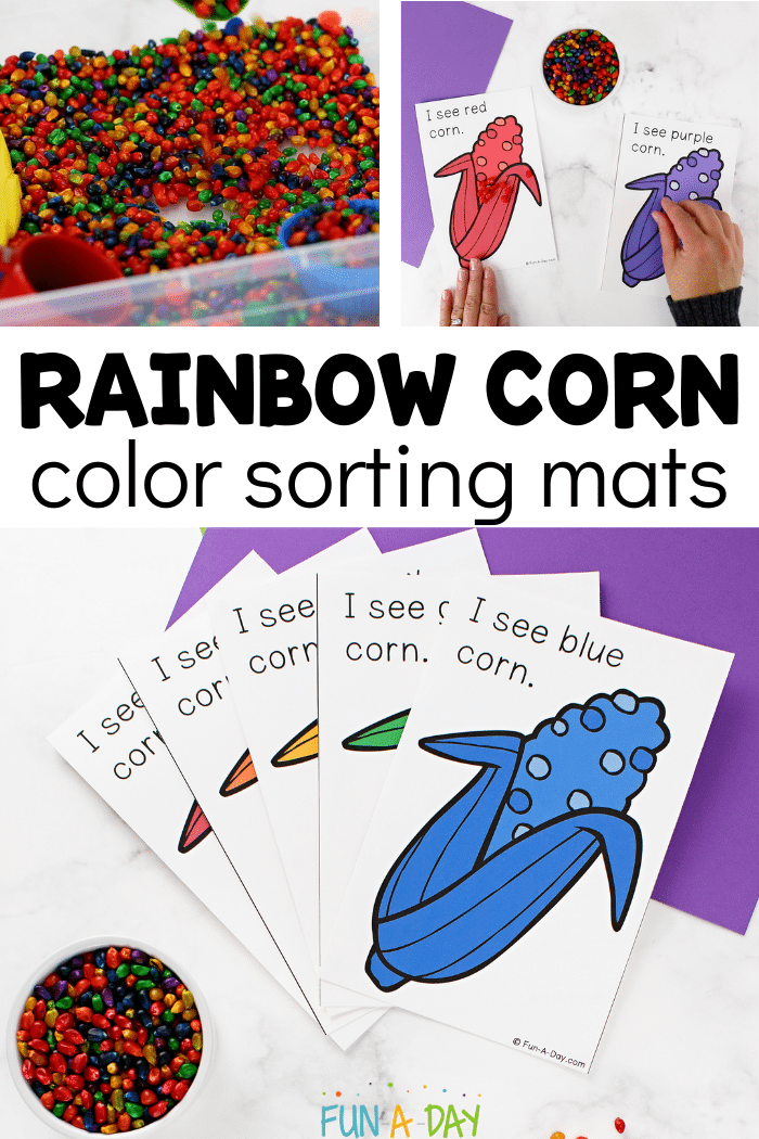 Collage of multicolored corn with sorting mats and text that reads rainbow corn color sorting mats.