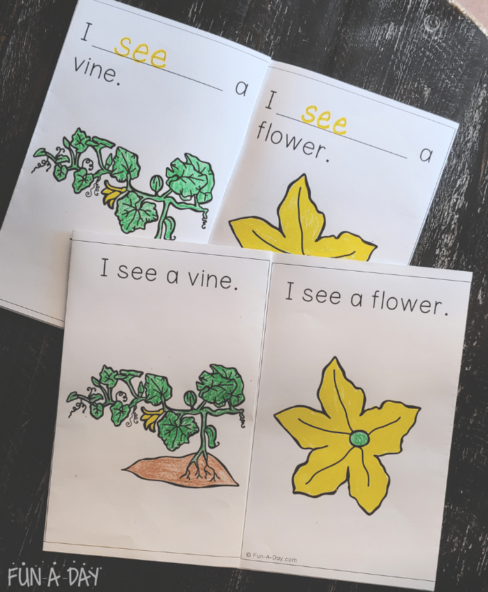 Two versions of a pumpkin life cycle book. Left page reads I see a vine. Right page says I see a flower. One page includes printed words, the other allows kids to write the word see.