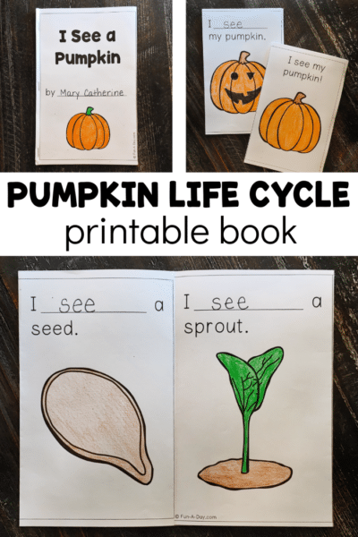 Collage images of pumpkin book printable with text that reads Pumpkin Life Cycle Printable Book