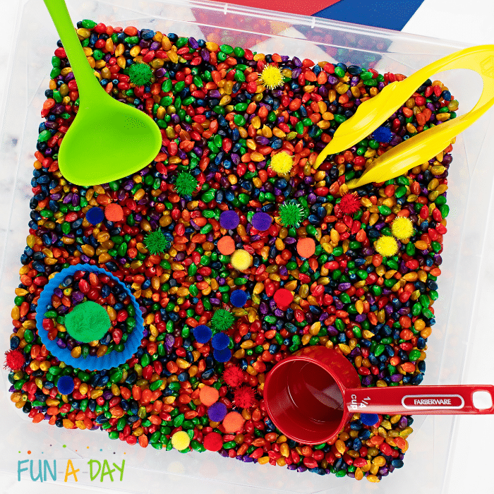 A clear bin containing multi-colored corn kernels, multi-colored pompoms, measuring tools, tongs, and a ladle.