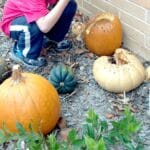 child holding his nose near decomposing pumpkins