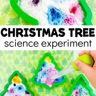 White foam with spots of color inside of Christmas tree cookie cutters and text that reads 'Christmas tree science experiment.'