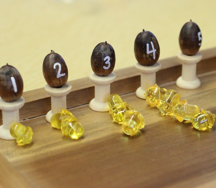 Fall math activities for preschoolers using numbered acorns, wooden spools, and acrylic acorns.