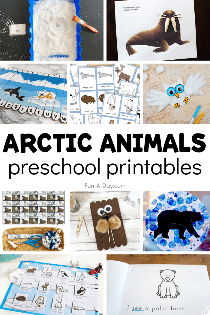 collage of arctic activities with text that reads arctic animals preschool printables