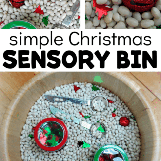 Collage of images related to the white navy bean, Christmas tree confetti, and jungle bell sensory bin.