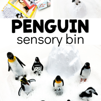 Collage of images of penguin sensory bin and penguin-themed books.