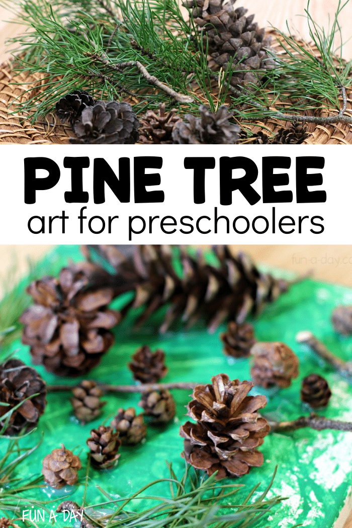 Pine tree branches, pine cones, and canvas art by preschoolers with text that reads pine tree art for preschoolers