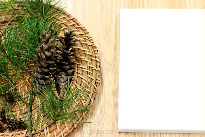 Blank white canvas next to tray with pine cones and pine brances