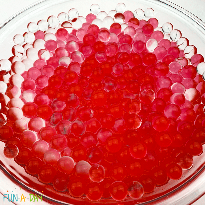 Bowl of red and clear water beads fully expanded.
