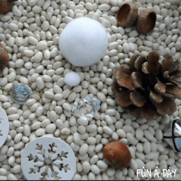 Close up of winter sensory bin that includes white beans, pine cones, acorns, glass gems, and white pompoms