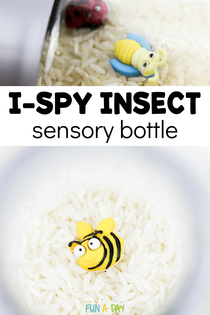 Two images of the sensory bottle with text that reads I-spy insect sensory bottle.