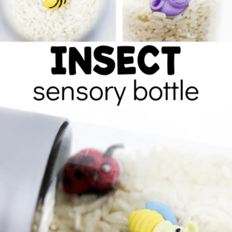 collage of rice discovery bottle with text that reads insect sensory bottle
